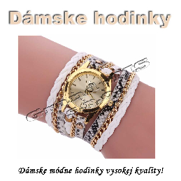 Dámske módne hodinky Quartz BSQ71W