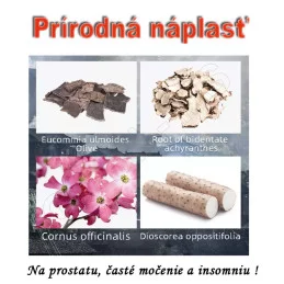 Prírodná náplasť na obnovu činnosti obličiek