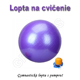 Gymnastická lopta - GYM BALL 65cm s pumpou fialová