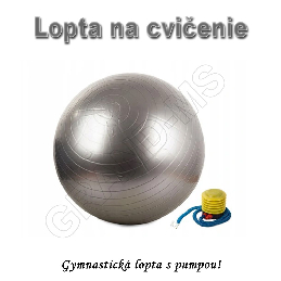 Gymnastická lopta - GYM BALL 65cm s pumpou fialová_product_product_product_product_product_product_product