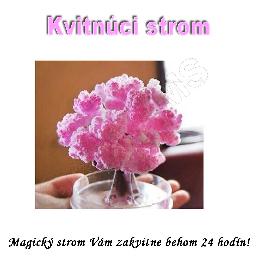 Velký kvitnúci japonský strom SAKURA 135mm_product