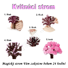 Velký kvitnúci japonský strom SAKURA 135mm_product