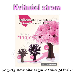 Velký kvitnúci japonský strom SAKURA 135mm_product