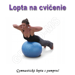 Gymnastická lopta - GYM BALL 65cm s pumpou fialová_product