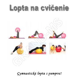 Gymnastická lopta - GYM BALL 65cm s pumpou fialová_product