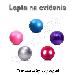 Gymnastická lopta - GYM BALL 65cm s pumpou fialová_product