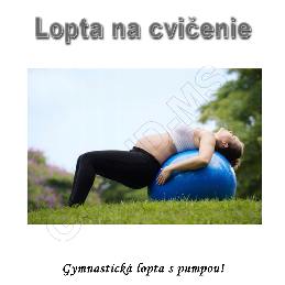 Gymnastická lopta - GYM BALL 65cm s pumpou fialová_product