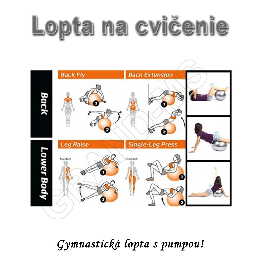 Gymnastická lopta - GYM BALL 65cm s pumpou fialová_product