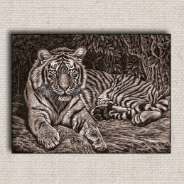 Obraz Tiger 01