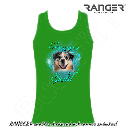 TD_e_Australian Shepherd_obj_002.jpg